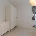 Candela, No 5 Starigrad Paklenica