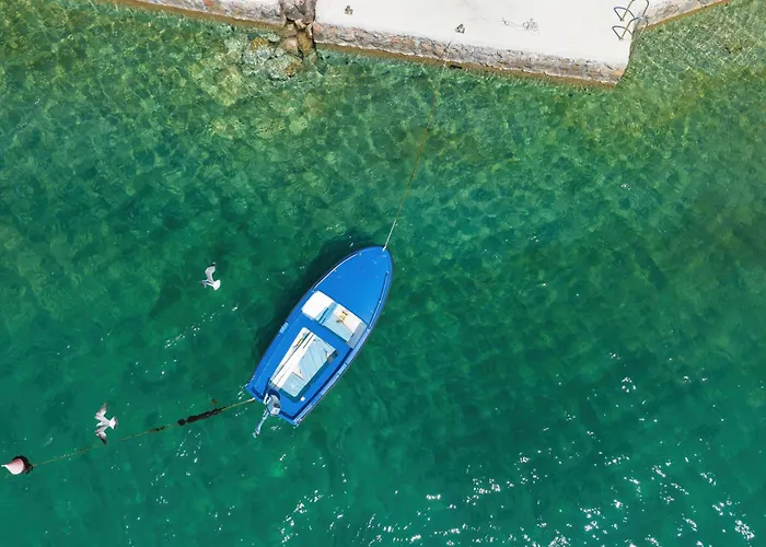 Candela, No 5 * 스타리그라드 파클레니차